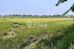 LOKASI PREMIUM! Tanah di Sidoarjo, Luas 370000m2m², Jalur Mudah LOKASI PREMIUM! Tanah di Sidoarjo, Luas 370000m2m², Jalur Mudah