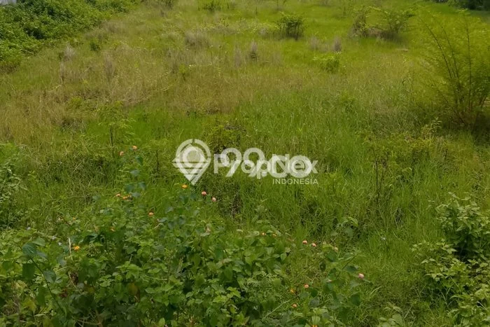 Dijual Tanah di Madiun Madiun Luas 5478m2 SHM Dijual Tanah di Madiun Madiun Luas 5478m2 SHM