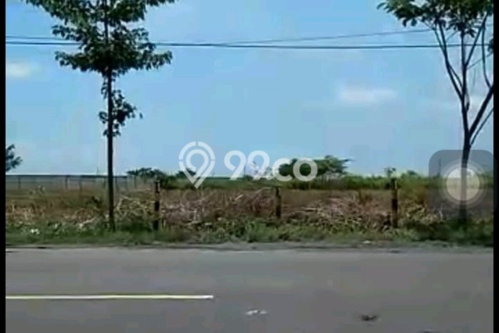 Dijual Tanah di Widang Tuban Luas 40000m2 SHM Dijual Tanah di Widang Tuban Luas 40000m2 SHM