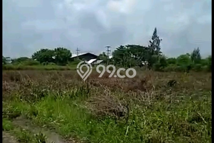 Dijual Tanah di Widang Tuban Luas 40000m2 SHM Dijual Tanah di Widang Tuban Luas 40000m2 SHM