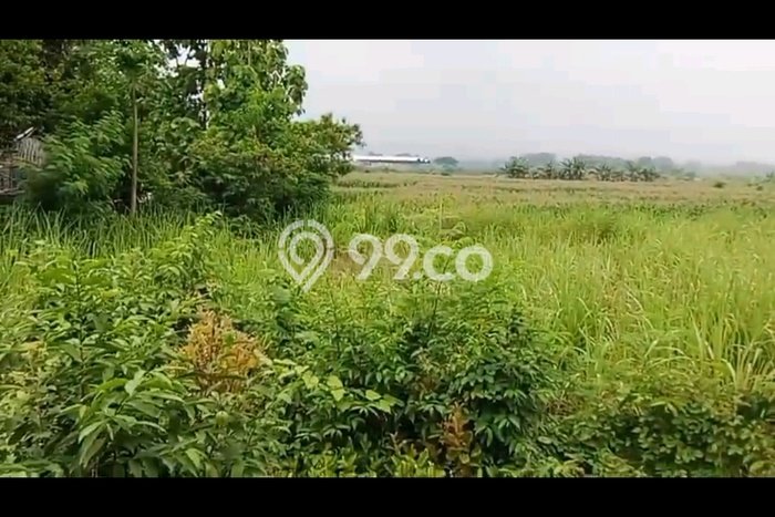 Lahan untuk Dijual Lokasi Perak, Jombang Luas 22500m2 SHM Lahan untuk Dijual Lokasi Perak, Jombang Luas 22500m2 SHM