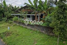 Jarang Ada! Tanah di Doko Punya Luas 2673m2 SHM Jarang Ada! Tanah di Doko Punya Luas 2673m2 SHM