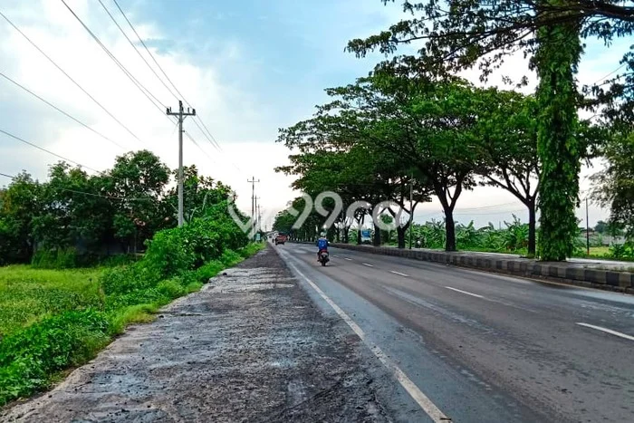 Lahan untuk Dijual di Kaliwungu Kendal Luas 14500m2 Lahan untuk Dijual di Kaliwungu Kendal Luas 14500m2