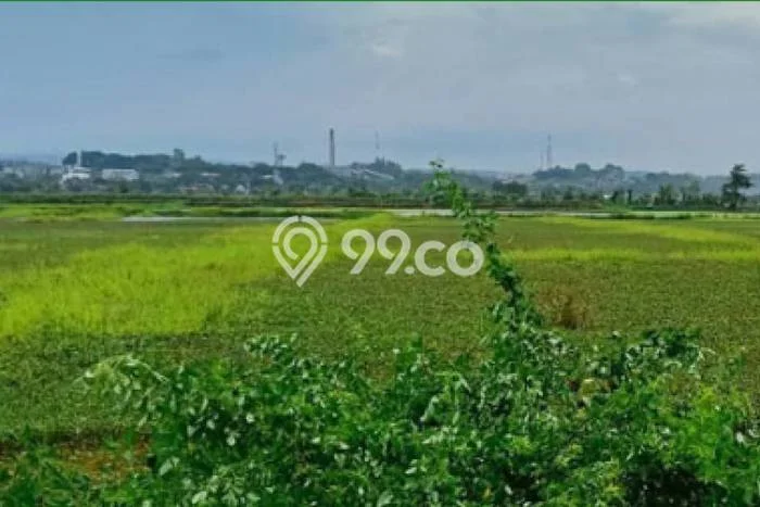Lahan untuk Dijual di Kaliwungu Kendal Luas 14500m2 Lahan untuk Dijual di Kaliwungu Kendal Luas 14500m2