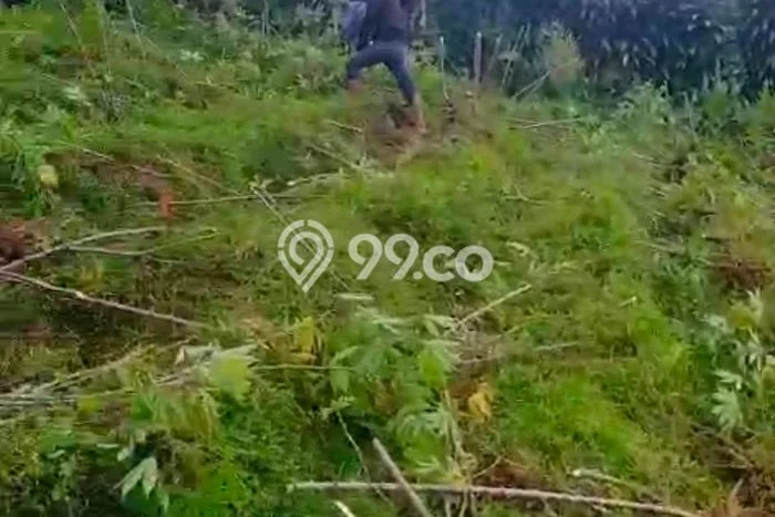 Tanah untuk Dijual di Parakan Salak Sukabumi Luas 4224m2 Tanah untuk Dijual di Parakan Salak Sukabumi Luas 4224m2