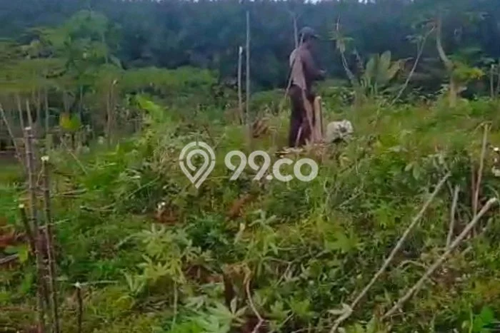 Tanah untuk Dijual di Parakan Salak Sukabumi Luas 4224m2 Tanah untuk Dijual di Parakan Salak Sukabumi Luas 4224m2