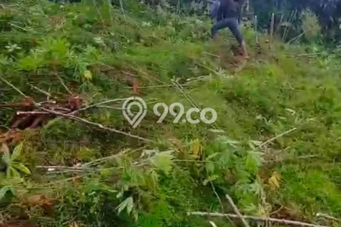 Tanah untuk Dijual di Parakan Salak Sukabumi Luas 4224m2 Tanah untuk Dijual di Parakan Salak Sukabumi Luas 4224m2