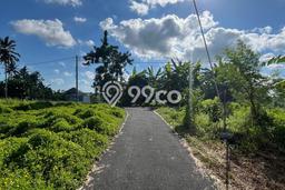 Lahan Dijual Lokasi Strategis di Gianyar dengan Luas 150m2 Lahan Dijual Lokasi Strategis di Gianyar dengan Luas 150m2