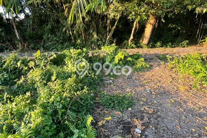 Tanah Kavling Dijual di Bakbakan, Gianyar dengan Luas Tanah 950m2 Tanah Kavling Dijual di Bakbakan, Gianyar dengan Luas Tanah 950m2