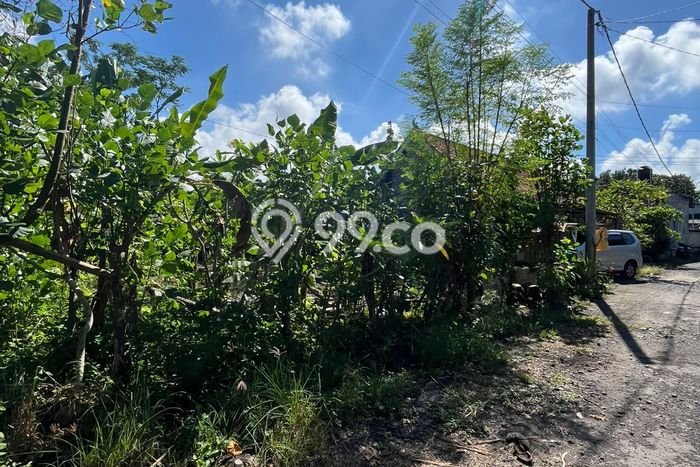 Tanah Kavling Dijual di Tulikup, Gianyar dengan Luas Tanah 100m2 Tanah Kavling Dijual di Tulikup, Gianyar dengan Luas Tanah 100m2