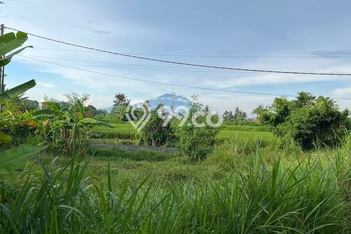 Untuk Dijual Tanah di Gianyar, Luas 115m2 SHM Untuk Dijual Tanah di Gianyar, Luas 115m2 SHM