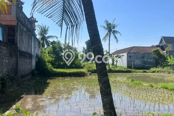 Untuk Dijual Tanah di Gianyar, Luas 385m2 SHM Untuk Dijual Tanah di Gianyar, Luas 385m2 SHM