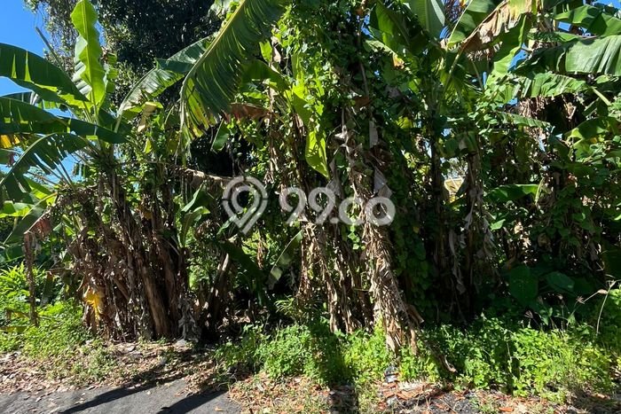 Tanah Dijual Area Strategis di Tulikup Gianyar 600m2 Tanah Dijual Area Strategis di Tulikup Gianyar 600m2
