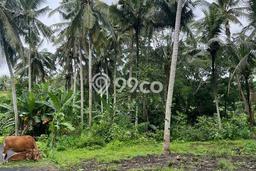 Tanah Kavling di Gianyar Dijual dengan Luas 2100m2 Tanah Kavling di Gianyar Dijual dengan Luas 2100m2
