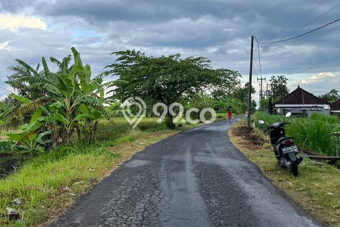 Tanah Dijual di Gianyar Seluas 650m2 Strategis Tanah Dijual di Gianyar Seluas 650m2 Strategis