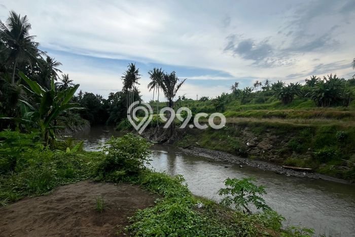Kavling Tanah untuk Dijual di Saba, Gianyar, Luas 100m2 Kavling Tanah untuk Dijual di Saba, Gianyar, Luas 100m2