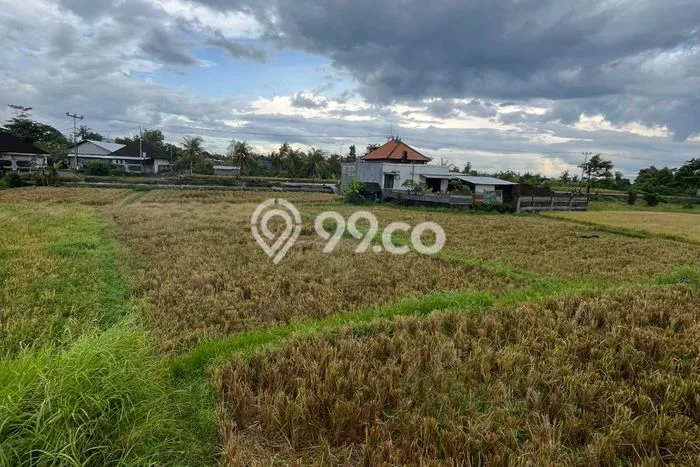 Tanah Dijual di Gianyar Seluas 650m2 Strategis Tanah Dijual di Gianyar Seluas 650m2 Strategis