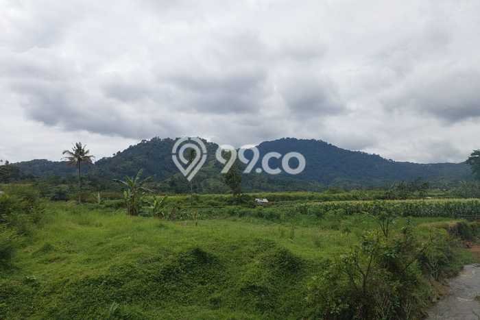 Lahan Investasi Lokasi Cianjur Cianjur SHM Lahan Investasi Lokasi Cianjur Cianjur SHM