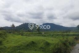 Lahan Investasi Lokasi Cianjur Cianjur SHM Lahan Investasi Lokasi Cianjur Cianjur SHM