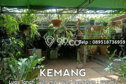 Hunian Mewah LB 600m2 Siap Pakai Desain Elegan di Kemang, Jakarta Selatan Hunian Mewah LB 600m2 Siap Pakai Desain Elegan di Kemang, Jakarta Selatan