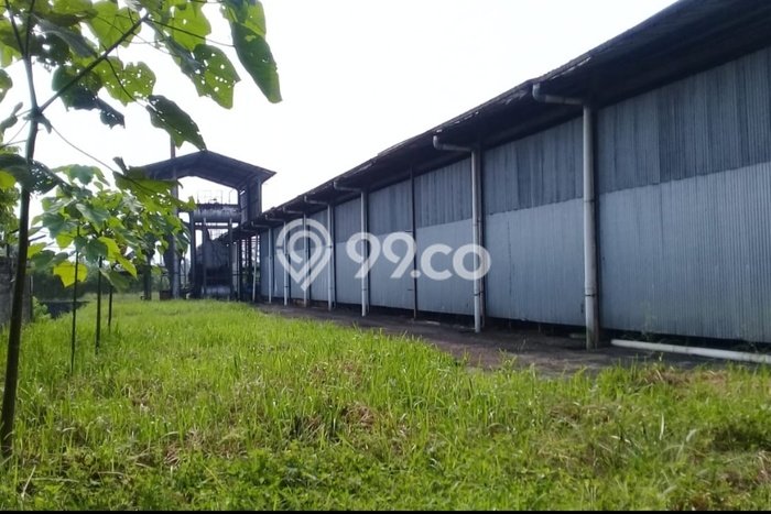 Paling Diincar! Pabrik Dijual di Kota Sukabumi Harga Kompetitif Paling Diincar! Pabrik Dijual di Kota Sukabumi Harga Kompetitif