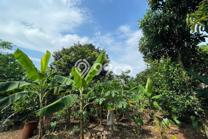 Tanah Strategis Dijual di Bojong Gede Bogor 1109m2 Tanah Strategis Dijual di Bojong Gede Bogor 1109m2