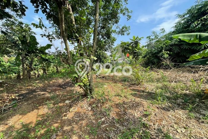 Tanah Strategis Dijual di Bojong Gede Bogor 1109m2 Tanah Strategis Dijual di Bojong Gede Bogor 1109m2