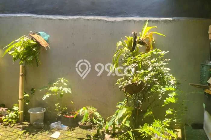 Jual Rumah Favorit Siap Huni LB 100m2 di Bogor Timur, Bogor Jual Rumah Favorit Siap Huni LB 100m2 di Bogor Timur, Bogor