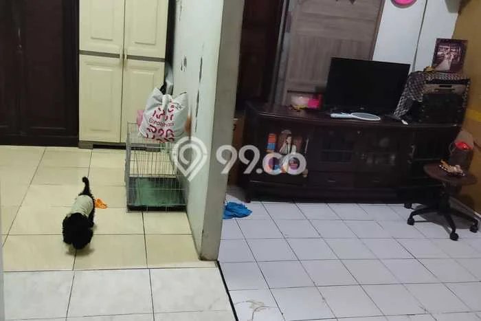 Dijual Rumah Murah di Tigaraksa Tangerang Harga Rp 350 Juta LT 100m2 Dijual Rumah Murah di Tigaraksa Tangerang Harga Rp 350 Juta LT 100m2