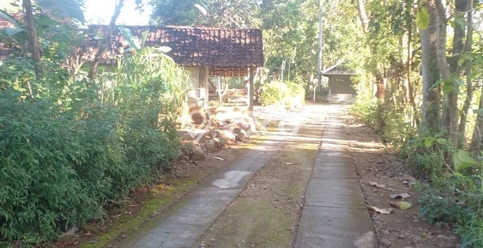 Jarang Ada! Tanah di Karangmojo Punya Luas 1777m2 SHM Jarang Ada! Tanah di Karangmojo Punya Luas 1777m2 SHM