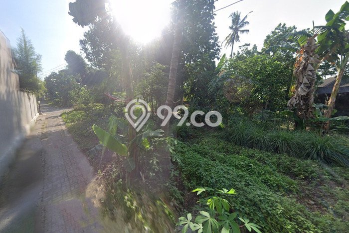 Lahan Strategis di Mlati Dijual dengan Luas 881m2 Lahan Strategis di Mlati Dijual dengan Luas 881m2