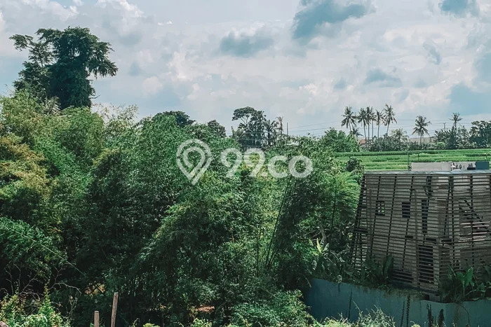 Tanah Disewakan Lokasi Tumbak Bayuh Badung Luas 1616m2 Tanah Disewakan Lokasi Tumbak Bayuh Badung Luas 1616m2