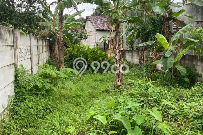 Tanah untuk Dijual di Gunung Sindur Bogor Luas 150m2 Tanah untuk Dijual di Gunung Sindur Bogor Luas 150m2