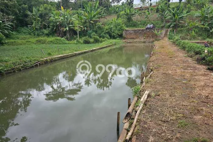 Tanah Kosong Dijual di Bandung Barat dengan Area 4100m2 Tanah Kosong Dijual di Bandung Barat dengan Area 4100m2