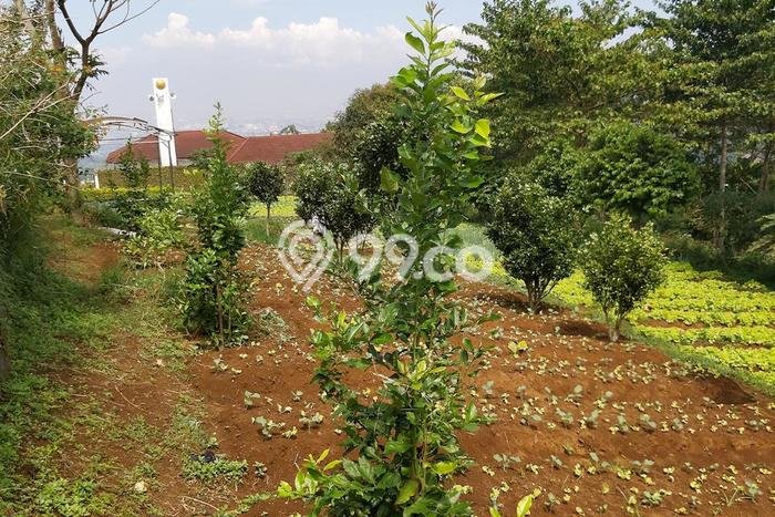 Untuk Dijual Tanah di Lembang Bandung Barat Luas 2345m2 SHM Untuk Dijual Tanah di Lembang Bandung Barat Luas 2345m2 SHM