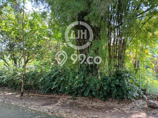 Kavling Tanah di Sawangan Dijual Luas 1030m2 Legalitas SHM Kavling Tanah di Sawangan Dijual Luas 1030m2 Legalitas SHM