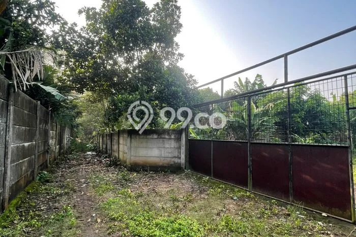 Lahan Dijual Lokasi Cisauk, Tangerang dengan Luas Tanah 6000m2 dan Status AJB Lahan Dijual Lokasi Cisauk, Tangerang dengan Luas Tanah 6000m2 dan Status AJB