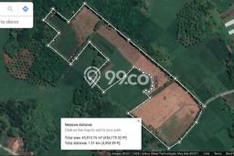 Untuk Dijual Tanah di Gading Rejo Pringsewu Luas 68377m2 SHM Untuk Dijual Tanah di Gading Rejo Pringsewu Luas 68377m2 SHM