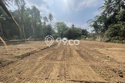 Lahan Investasi Lokasi Sleman Sleman SHM Lahan Investasi Lokasi Sleman Sleman SHM