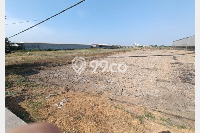 Jarang Ada! Tanah di Wringinanom Punya Luas 17892m2 SHM Jarang Ada! Tanah di Wringinanom Punya Luas 17892m2 SHM