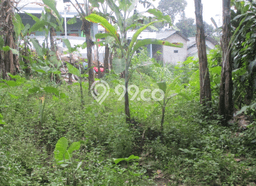 Tanah Komersial Dijual di Cigombong Bogor 1566m2 Tanah Komersial Dijual di Cigombong Bogor 1566m2