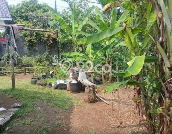 Tanah Kosong Dijual di Bogor dengan Area 85m2 Tanah Kosong Dijual di Bogor dengan Area 85m2