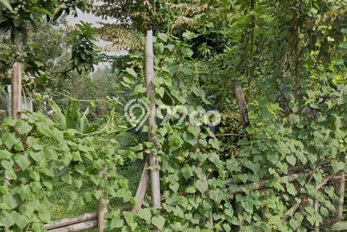 Tanah Kosong Dijual di Bogor dengan Area 85m2 Tanah Kosong Dijual di Bogor dengan Area 85m2