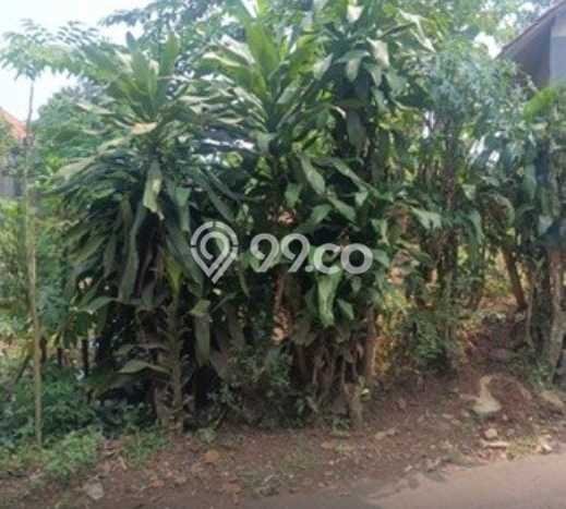 Tanah Kosong Dijual di Bogor dengan Area 85m2 Tanah Kosong Dijual di Bogor dengan Area 85m2