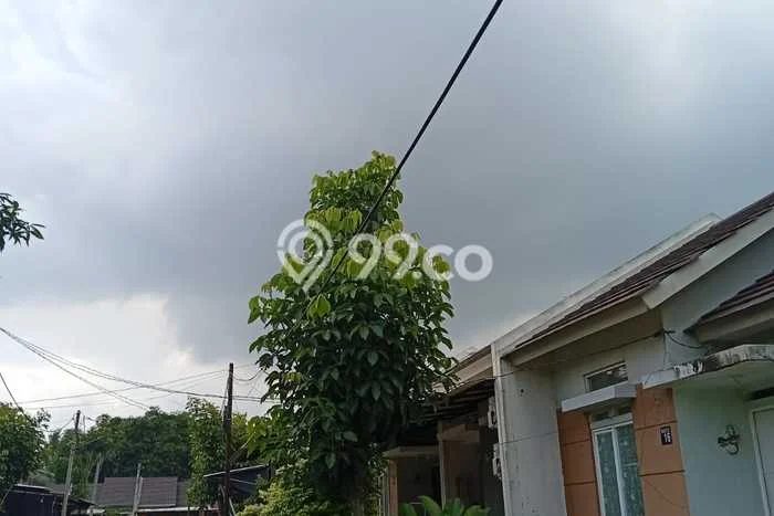 Rumah Murah Dijual di BSD, Tangerang Selatan Harga Rp 300 Juta Rumah Murah Dijual di BSD, Tangerang Selatan Harga Rp 300 Juta