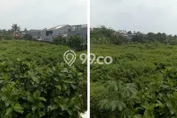 Tanah Kosong Dijual di Tangerang Selatan dengan Area 11000m2 Tanah Kosong Dijual di Tangerang Selatan dengan Area 11000m2