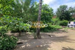 Tanah Strategis Dijual di Pajangan Bantul 190m2 Tanah Strategis Dijual di Pajangan Bantul 190m2