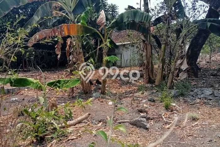 Tanah Strategis Dijual di Mantrijeron Yogyakarta 1557m2 Tanah Strategis Dijual di Mantrijeron Yogyakarta 1557m2