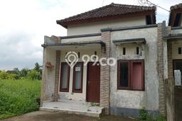 Jual Rumah Murah Meriah Kerambitan Punya 2 KT & LT 70m2 Jual Rumah Murah Meriah Kerambitan Punya 2 KT & LT 70m2