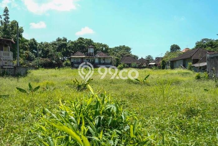 Tanah Siap Pakai Disewakan di Ubud, Gianyar, Luas 2250m2 Tanah Siap Pakai Disewakan di Ubud, Gianyar, Luas 2250m2